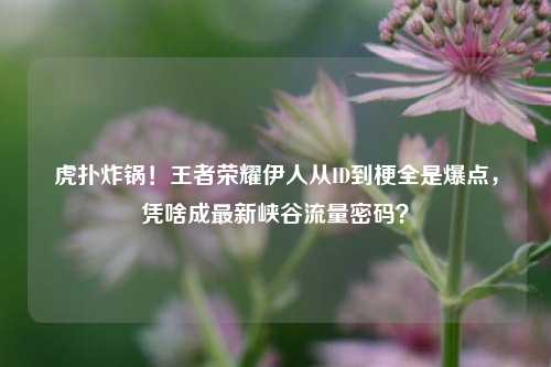 虎扑炸锅!王者荣耀伊人从ID到梗全是爆点,凭啥成最新峡谷流量密码?