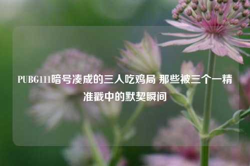 PUBG111暗号凑成的三人吃鸡局 那些被三个一精准戳中的默契瞬间