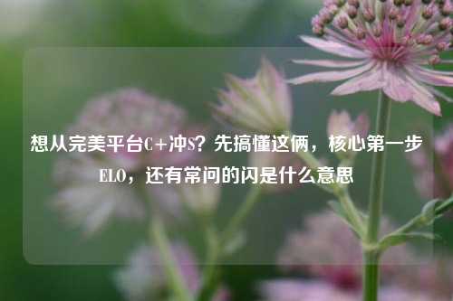 想从完美平台C+冲S？先搞懂这俩，核心第一步ELO，还有常问的闪是什么意思