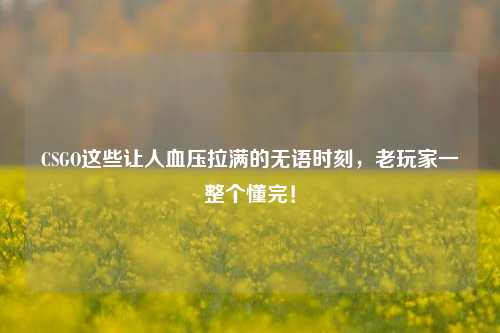 CSGO这些让人血压拉满的无语时刻,老玩家一整个懂完!