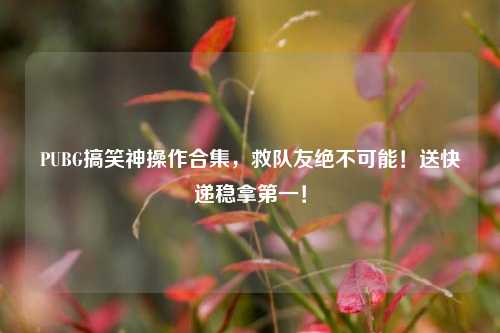 PUBG搞笑神操作合集,救队友绝不可能!送快递稳拿第一!