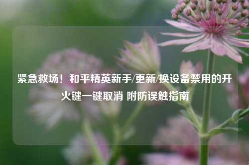紧急救场!和平精英新手/更新/换设备禁用的开火键一键取消 附防误触指南