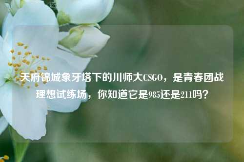 天府锦城象牙塔下的川师大CSGO,是青春团战理想试练场,你知道它是985还是211吗?
