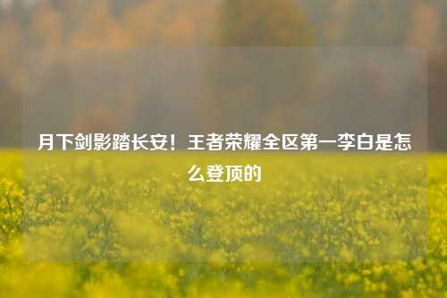 月下剑影踏长安！王者荣耀全区第一李白是怎么登顶的
