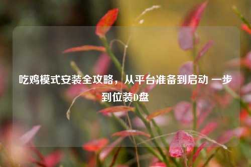 吃鸡模式安装全攻略，从平台准备到启动 一步到位装D盘