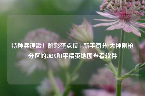 特种兵速戳!附彩蛋点位+新手苟分/大神刚枪分区的202X和平精英地图查看软件