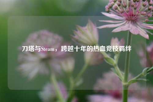 刀塔与Steam，跨越十年的热血竞技羁绊