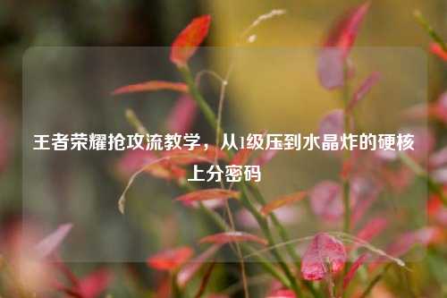 王者荣耀抢攻流教学,从1级压到水晶炸的硬核上分密码