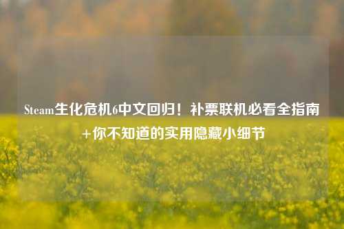 Steam生化危机6中文回归!补票联机必看全指南+你不知道的实用隐藏小细节