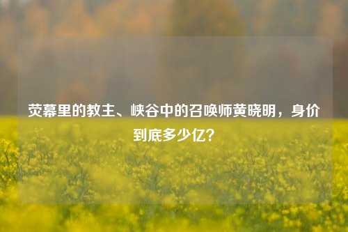 荧幕里的教主、峡谷中的召唤师黄晓明，身价到底多少亿？