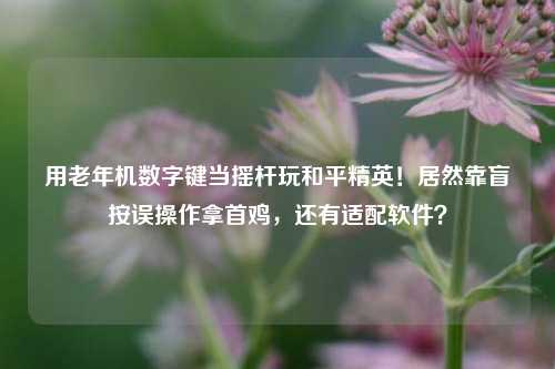 用老年机数字键当摇杆玩和平精英!居然靠盲按误操作拿首鸡,还有适配软件?