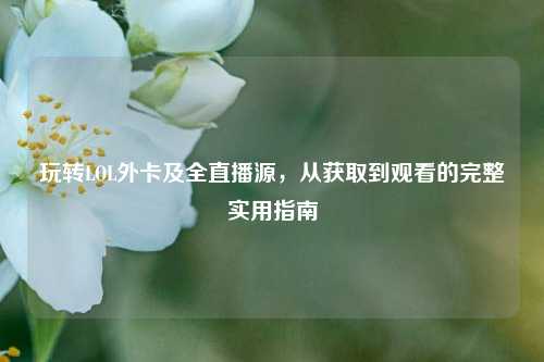 玩转LOL外卡及全直播源,从获取到观看的完整实用指南