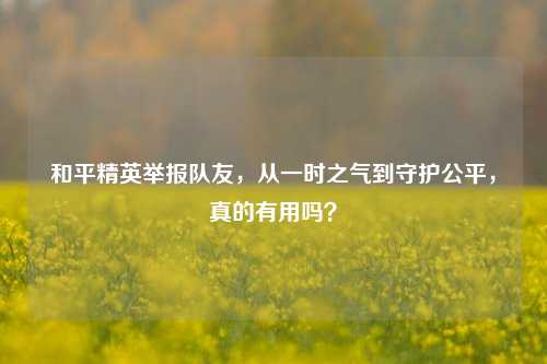 和平精英举报队友，从一时之气到守护公平，真的有用吗？