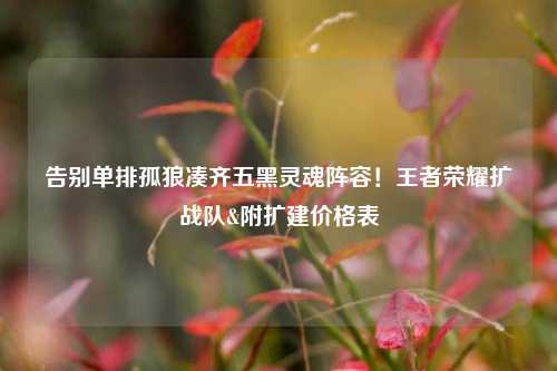告别单排孤狼凑齐五黑灵魂阵容!王者荣耀扩战队&附扩建价格表