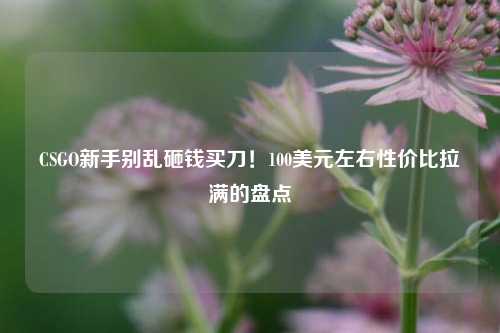 CSGO新手别乱砸钱买刀!100美元左右性价比拉满的盘点