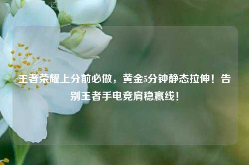 王者荣耀上分前必做,黄金5分钟静态拉伸!告别王者手电竞肩稳赢线!