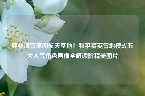 穿林海雪原闯航天基地!和平精英雪地模式五大人气角色画像全解读附精美图片