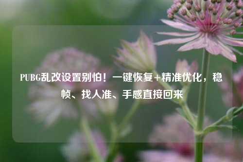 PUBG乱改设置别怕！一键恢复+精准优化，稳帧、找人准、手感直接回来