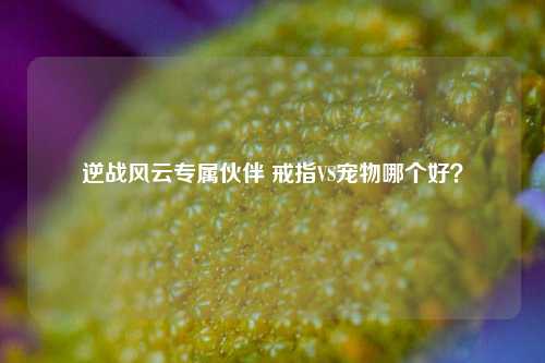 逆战风云专属伙伴 戒指VS宠物哪个好?