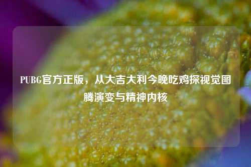 PUBG官方正版,从大吉大利今晚吃鸡探视觉图腾演变与精神内核
