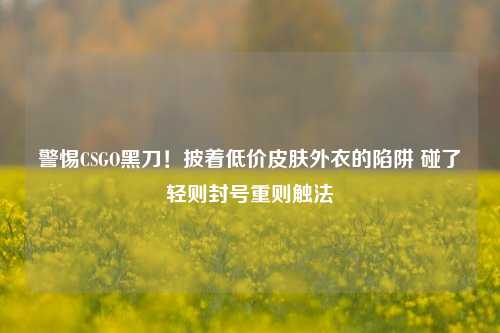 警惕CSGO黑刀!披着低价皮肤外衣的陷阱 碰了轻则封号重则触法