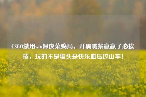 CSGO禁用win深夜菜鸡局,开黑喊禁赢赢了必挨揍,玩的不是爆头是快乐血压过山车!
