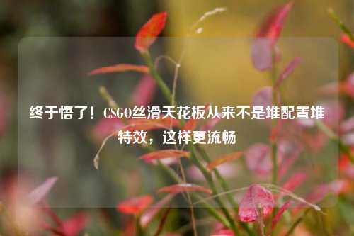 终于悟了！CSGO丝滑天花板从来不是堆配置堆特效，这样更流畅