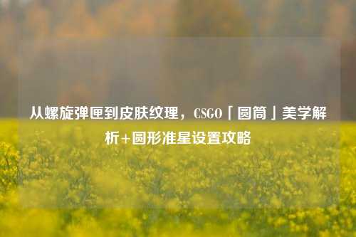 从螺旋弹匣到皮肤纹理,CSGO「圆筒」美学解析+圆形准星设置攻略