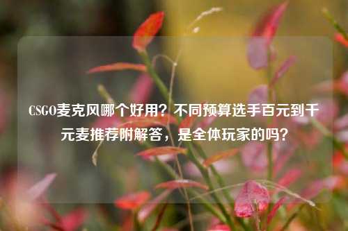 CSGO麦克风哪个好用?不同预算选手百元到千元麦推荐附解答,是全体玩家的吗?