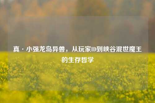 真·小强龙岛异兽,从玩家ID到峡谷混世魔王的生存哲学