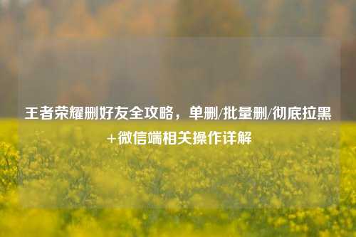 王者荣耀删好友全攻略,单删/批量删/彻底拉黑+微信端相关操作详解