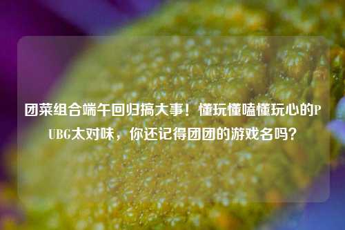 团菜组合端午回归搞大事!懂玩懂嗑懂玩心的PUBG太对味,你还记得团团的游戏名吗?