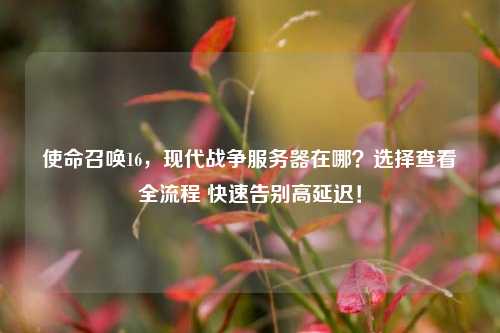使命召唤16，现代战争服务器在哪？选择查看全流程 快速告别高延迟！