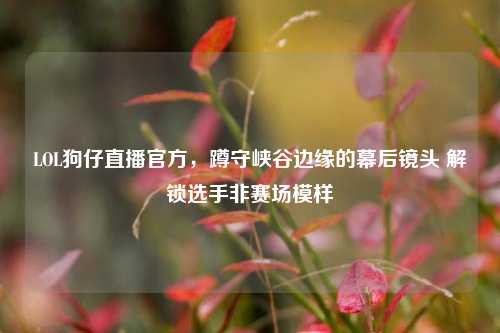LOL狗仔直播官方,蹲守峡谷边缘的幕后镜头 解锁选手非赛场模样