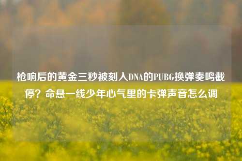 枪响后的黄金三秒被刻入DNA的PUBG换弹奏鸣截停?命悬一线少年心气里的卡弹声音怎么调