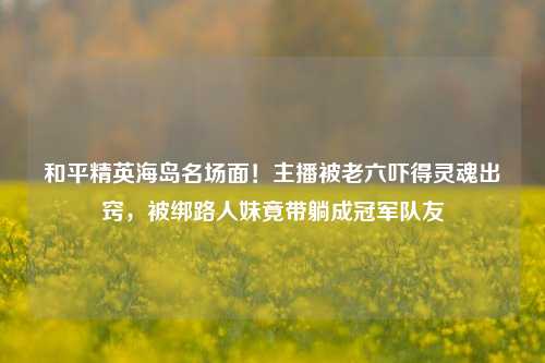 和平精英海岛名场面!主播被老六吓得灵魂出窍,被绑路人妹竟带躺成冠军队友