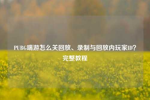 PUBG端游怎么关回放、录制与回放内玩家ID？完整教程
