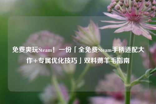 免费爽玩Steam!一份「全免费Steam手柄适配大作+专属优化技巧」双料薅羊毛指南