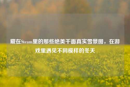 藏在Steam里的那些绝美千面真实雪景图,在游戏里遇见不同模样的冬天