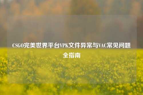CSGO完美世界平台VPK文件异常与VAC常见问题全指南