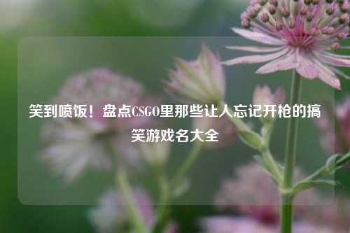 笑到喷饭!盘点CSGO里那些让人忘记开枪的搞笑游戏名大全
