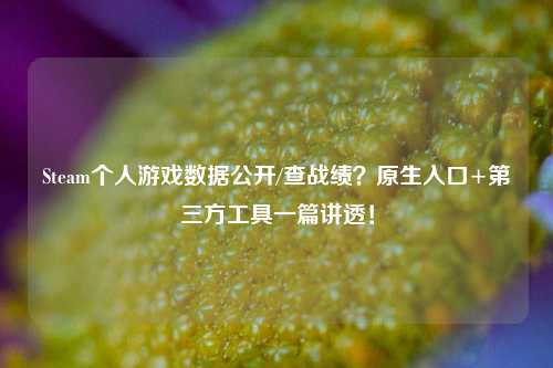 Steam个人游戏数据公开/查战绩?原生入口+第三方工具一篇讲透!