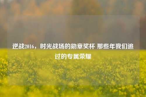 逆战2016,时光战场的勋章奖杯 那些年我们追过的专属荣耀