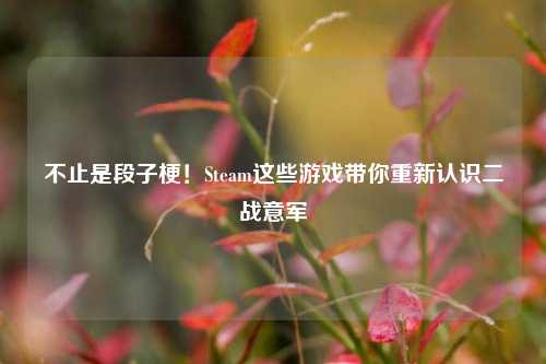 不止是段子梗！Steam这些游戏带你重新认识二战意军