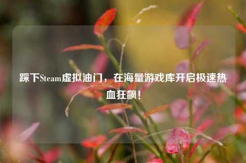 踩下Steam虚拟油门,在海量游戏库开启极速热血狂飙!