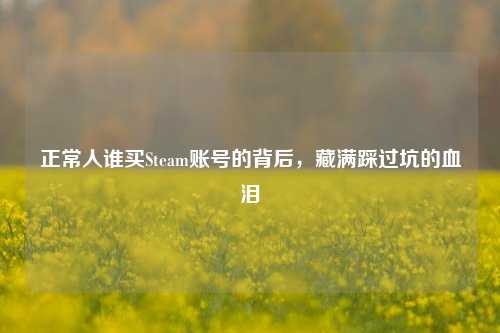 正常人谁买Steam账号的背后，藏满踩过坑的血泪