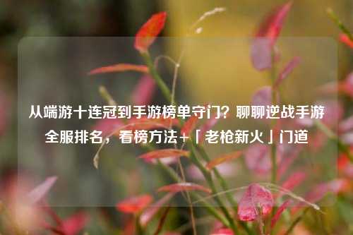 从端游十连冠到手游榜单守门？聊聊逆战手游全服排名，看榜方法+「老枪新火」门道