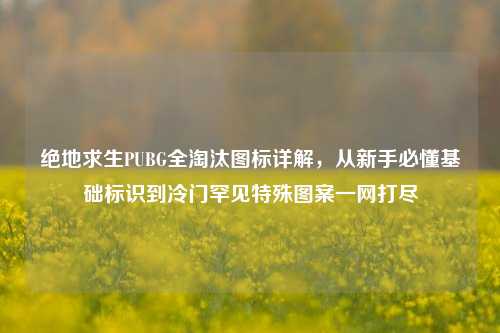 绝地求生PUBG全淘汰图标详解,从新手必懂基础标识到冷门罕见特殊图案一网打尽