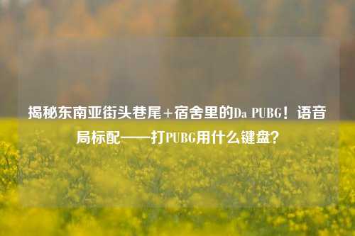 揭秘东南亚街头巷尾+宿舍里的Da PUBG!语音局标配——打PUBG用什么键盘?