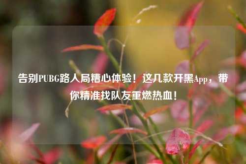 告别PUBG路人局糟心体验!这几款开黑App,带你精准找队友重燃热血!